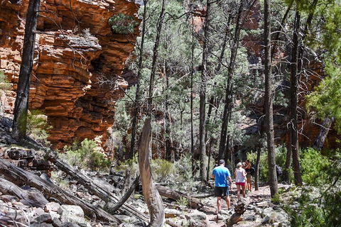 6-Day Eyre Peninsula & Flinders Ranges Adventure Tour - Accommodation Redcliffe 5