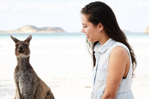 10 Day Perth To Adelaide Private Tour - The Great Australian Wilderness Journey - Accommodation Redcliffe 2
