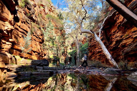 10-Day Adelaide To Perth Adventure Tour - Accommodation Redcliffe 5