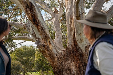 NEW TOUR - Kangaroo Island Road To Recovery Tour (1 Day/1 Night) - Accommodation Redcliffe 0