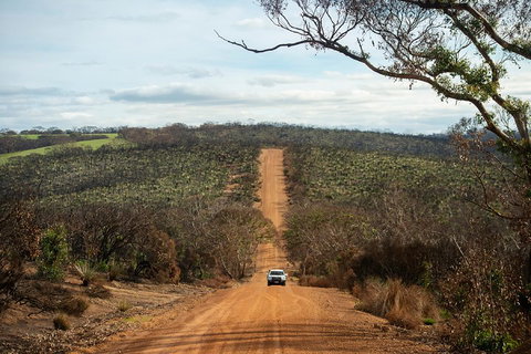 NEW TOUR - Kangaroo Island Road To Recovery Tour (1 Day/1 Night) - Accommodation Redcliffe 2