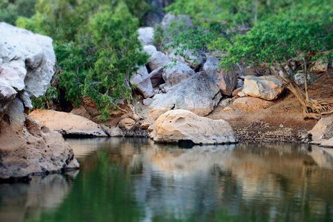 Windjana Gorge And Tunnel Creek 4WD Tour From Broome - Accommodation Redcliffe 5
