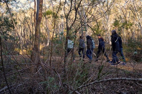 Wild Australian Wildlife 4WD Tour From Sydney - Accommodation Redcliffe 0