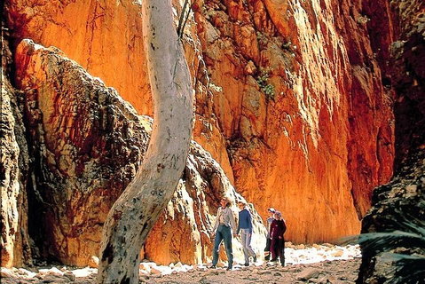 West MacDonnell Ranges Day Trip From Alice Springs - Accommodation Redcliffe 3