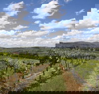 Hunter Valley Wine Tour from Sydney incl Lunch Cheese Chocolate and Distillery - Accommodation Redcliffe