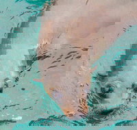 Wilsons Promontory Full Day Cruise