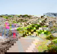 Margaret River Coastal and Wildlife Eco Trip from Busselton or Dunsborough - Accommodation Redcliffe